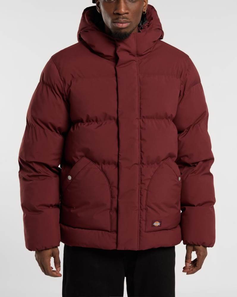 Eagleville Hooded Puffer Jacka - Andorra