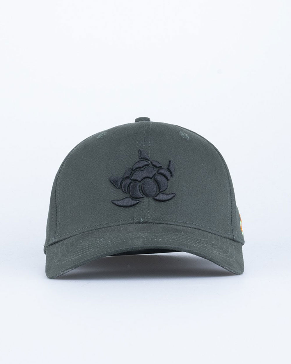 Cloudberry 120 Keps