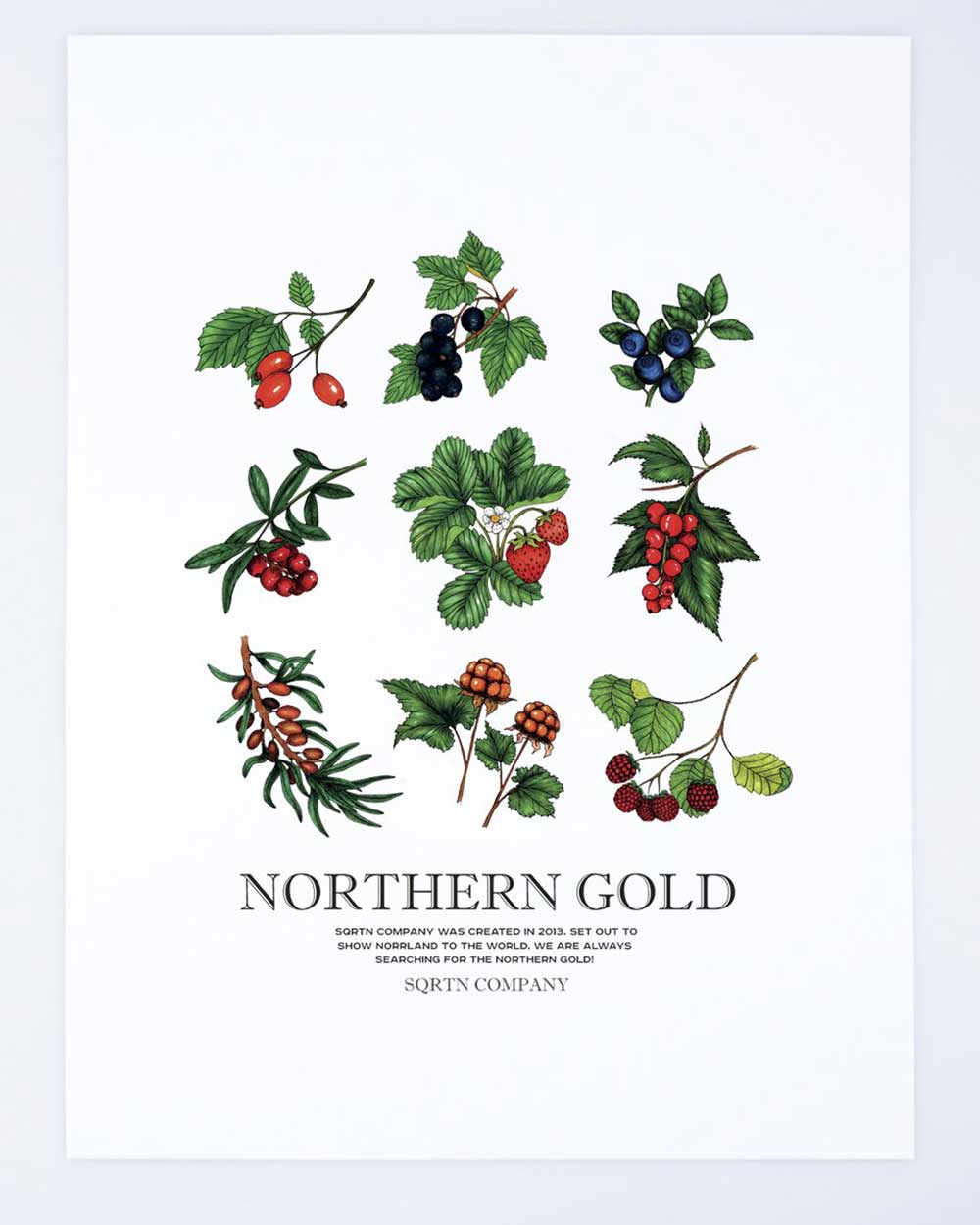 Northern Gold 50x70 Poster