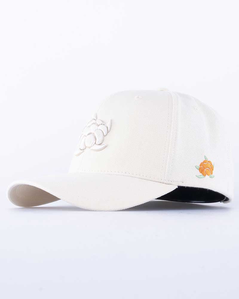 Cloudberry Big 120 Keps