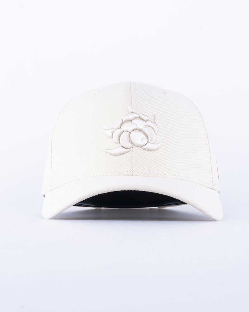 Cloudberry Big 120 Keps
