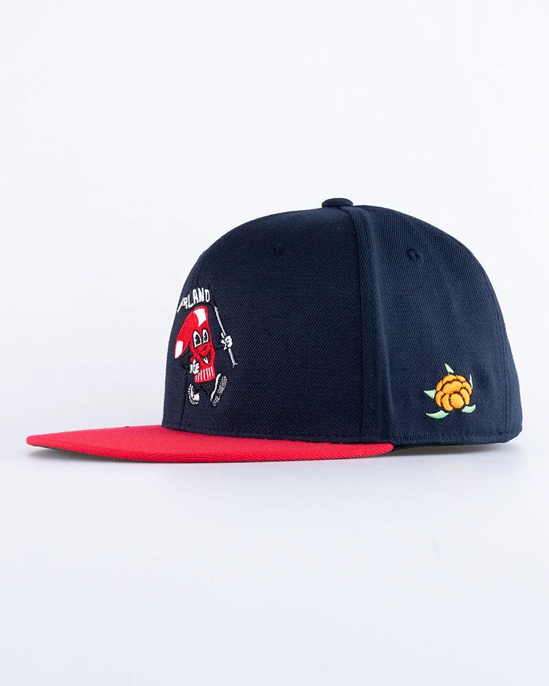 Raggsox Fitted Keps