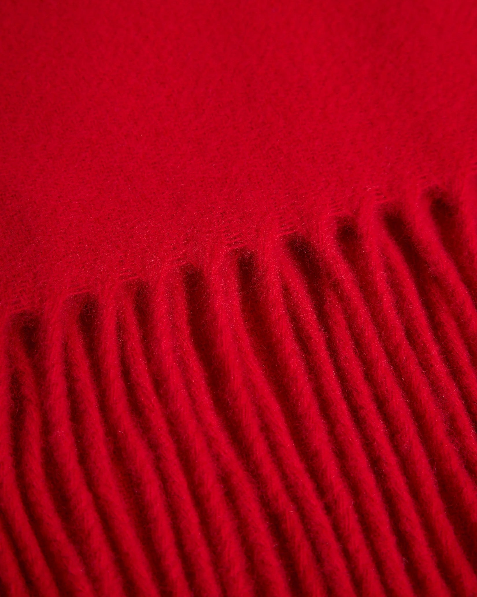 Champ Solid Wool Scarf