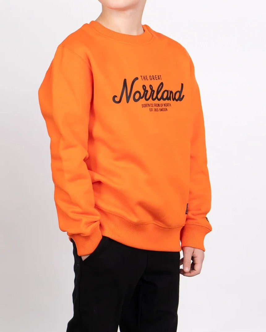 Great Norrland Junior Tröja