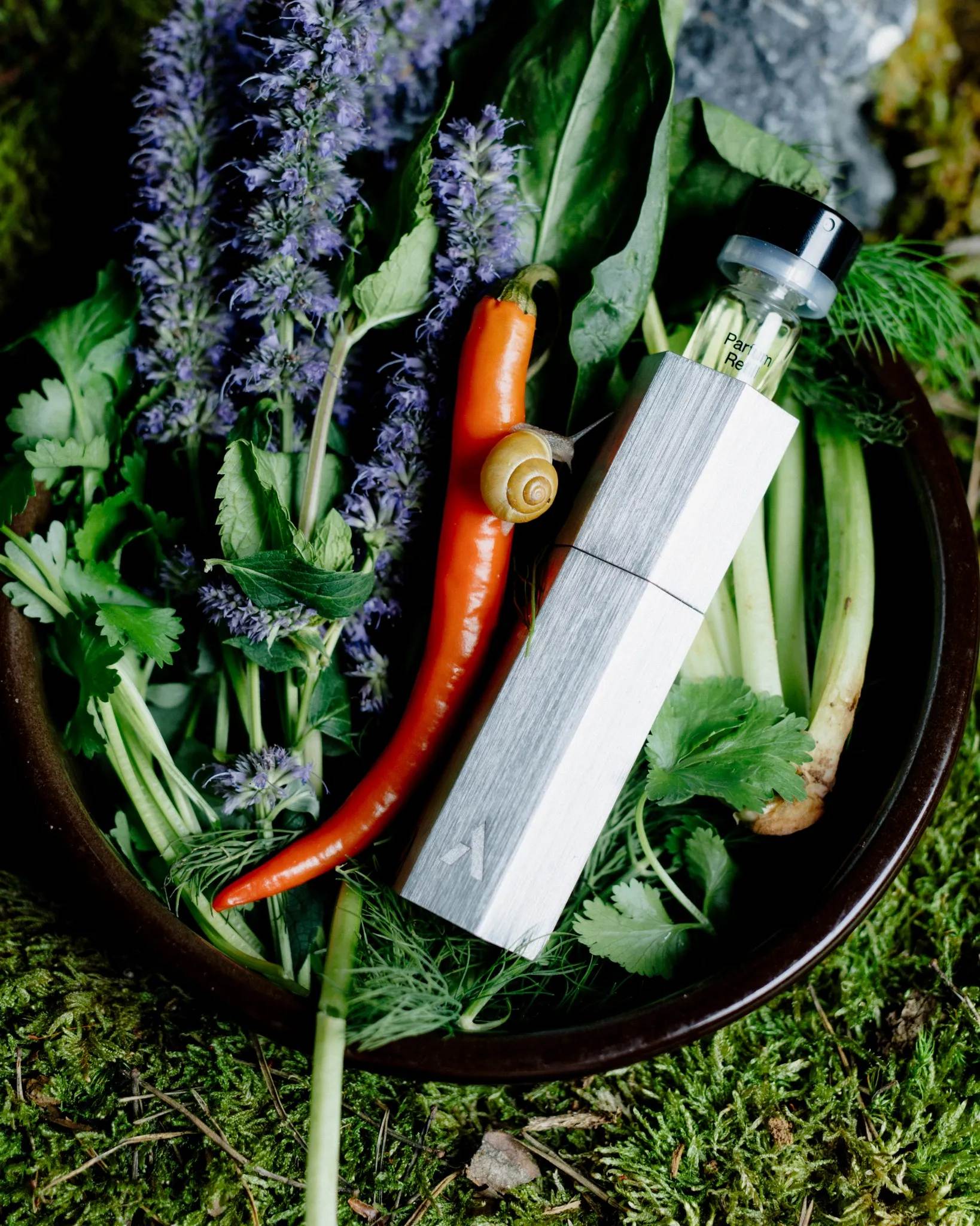 Ascent Green Parfym Starter Pack