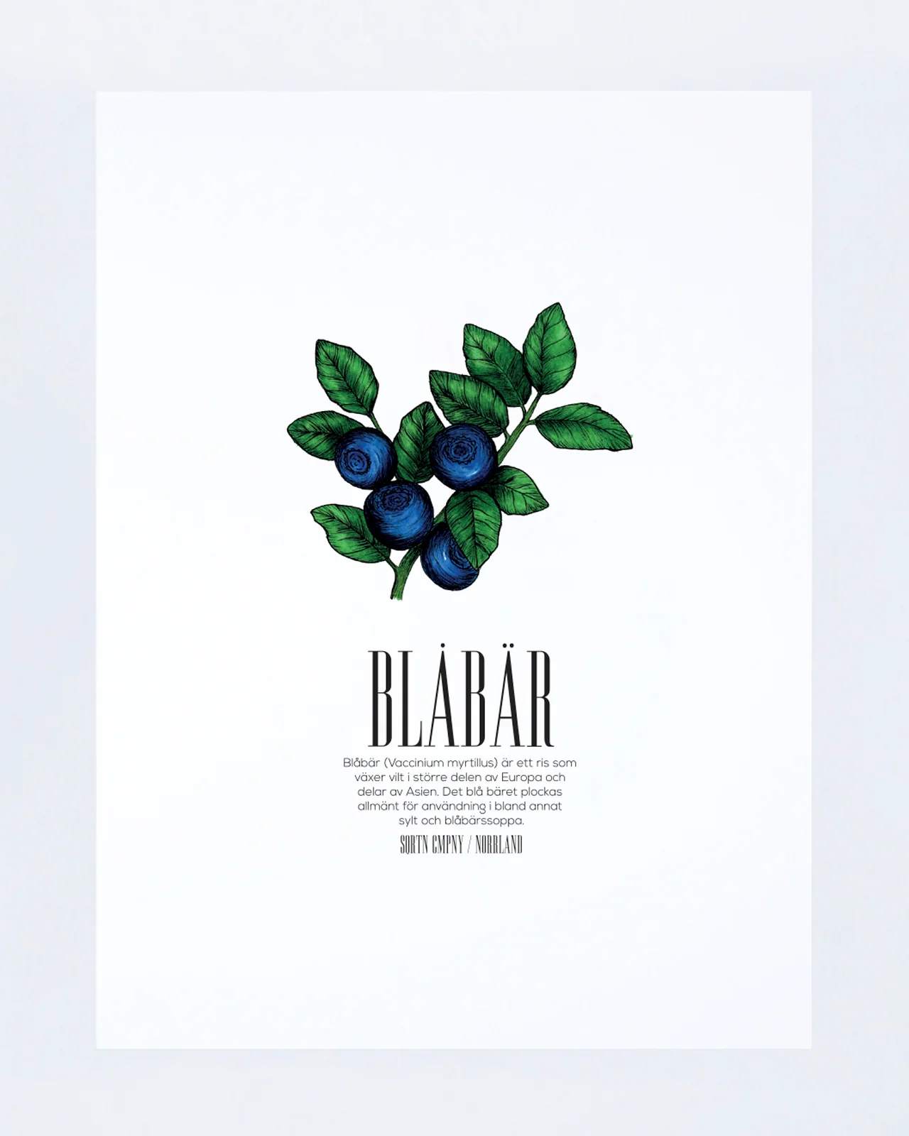 Blåbär Poster