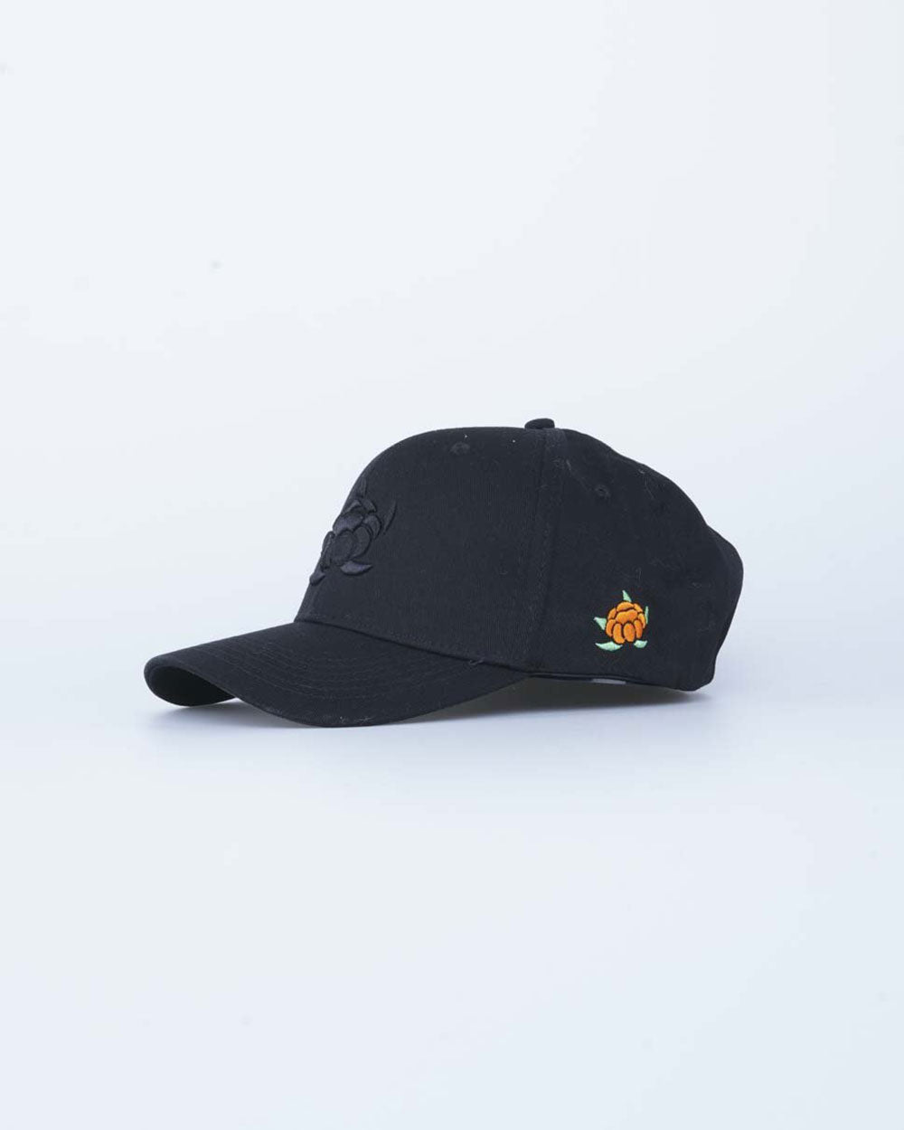 Cloudberry 120 Keps