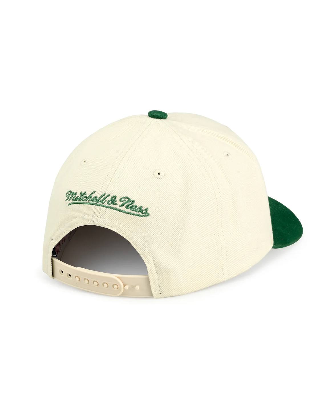 Pro Crown Chicago Bulls Keps