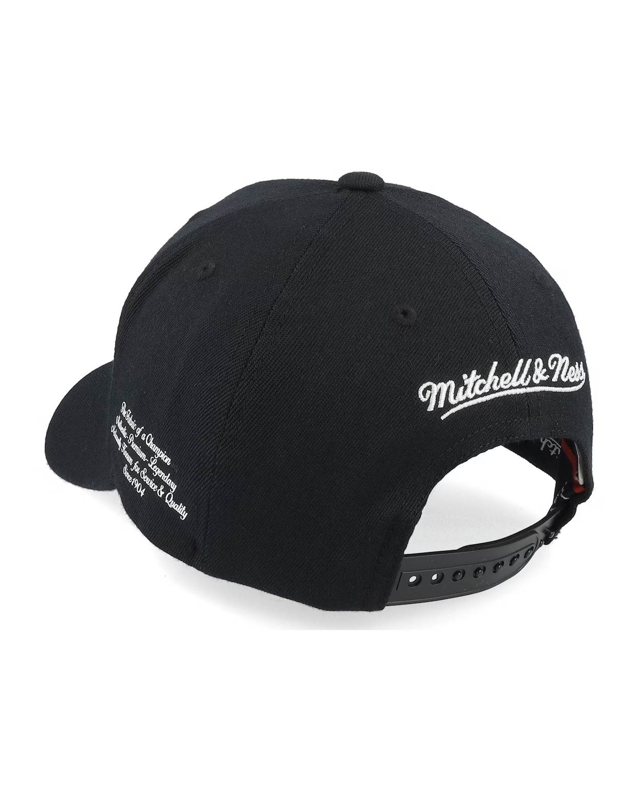 Classic Mark Stretch Snapback Keps