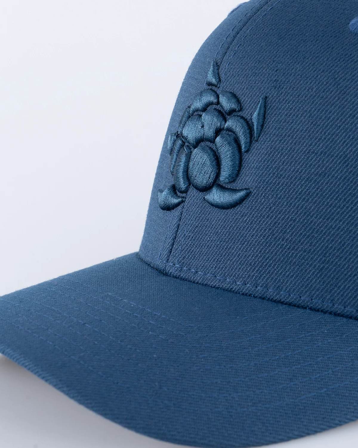 Cloudberry 120 Keps