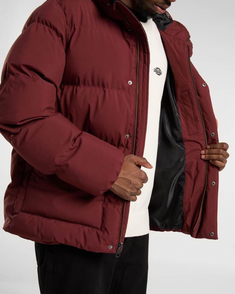 Eagleville Hooded Puffer Jacka
