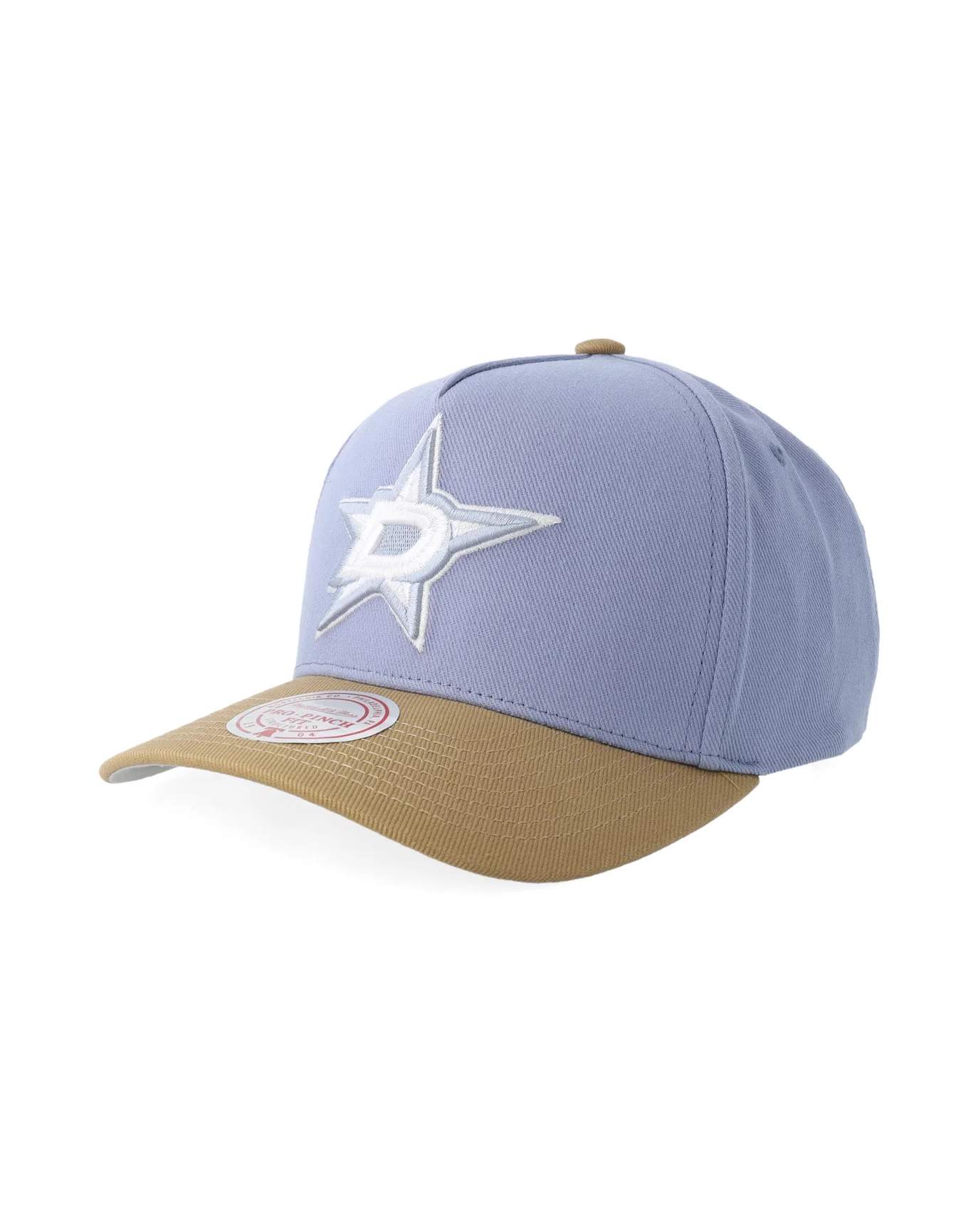 NHL Frosted Peak Dallas Stars Keps