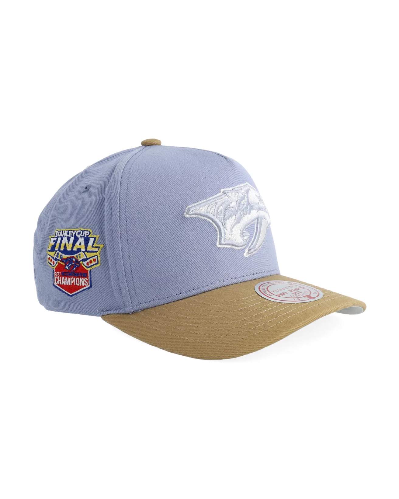 NHL Frosted Peak Nashville Predators Keps