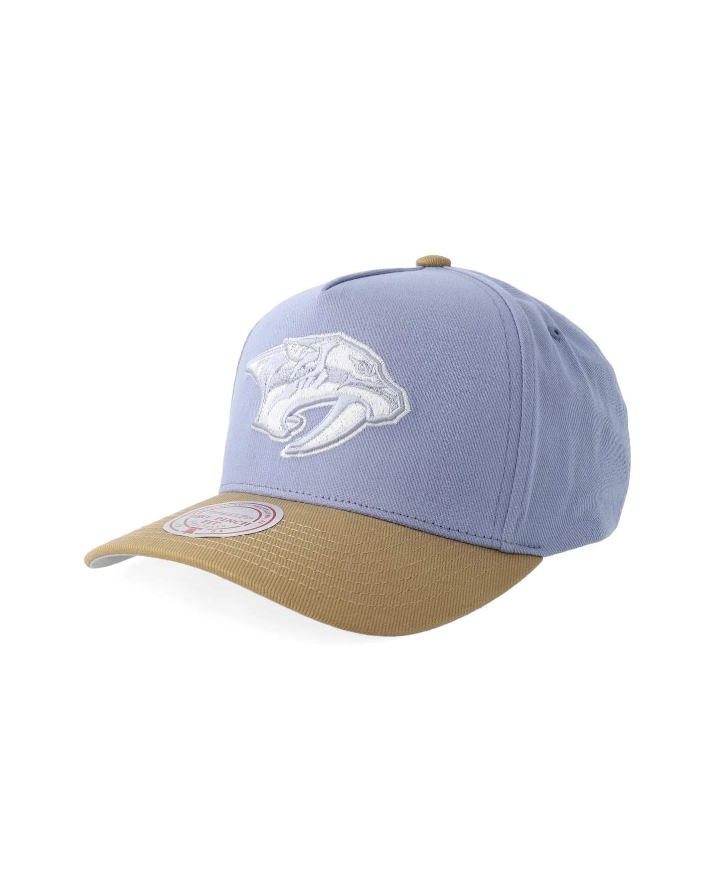 NHL Frosted Peak Nashville Predators Keps