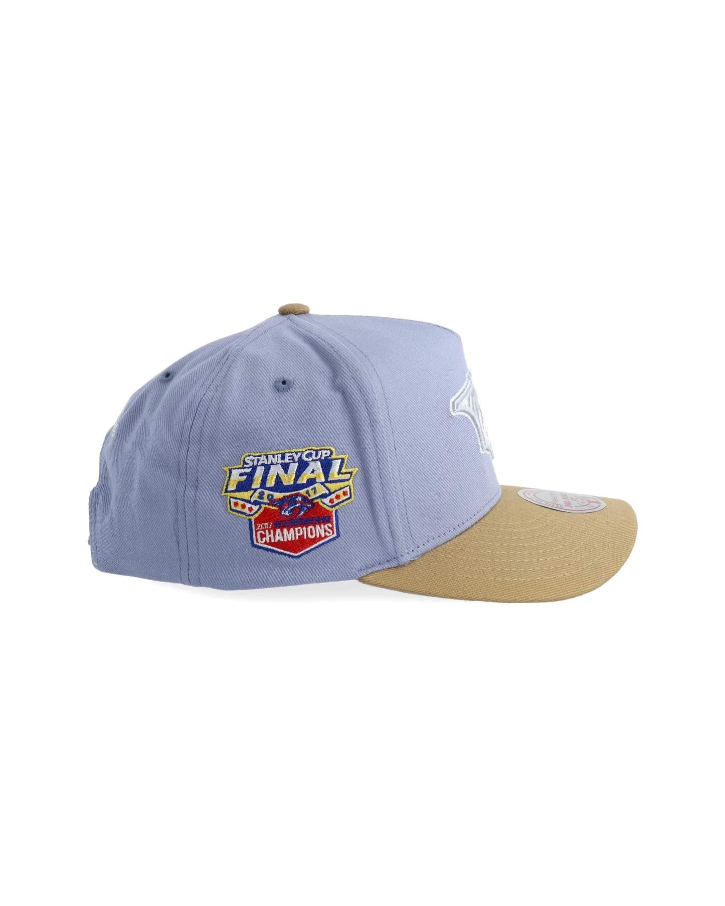 NHL Frosted Peak Nashville Predators Keps