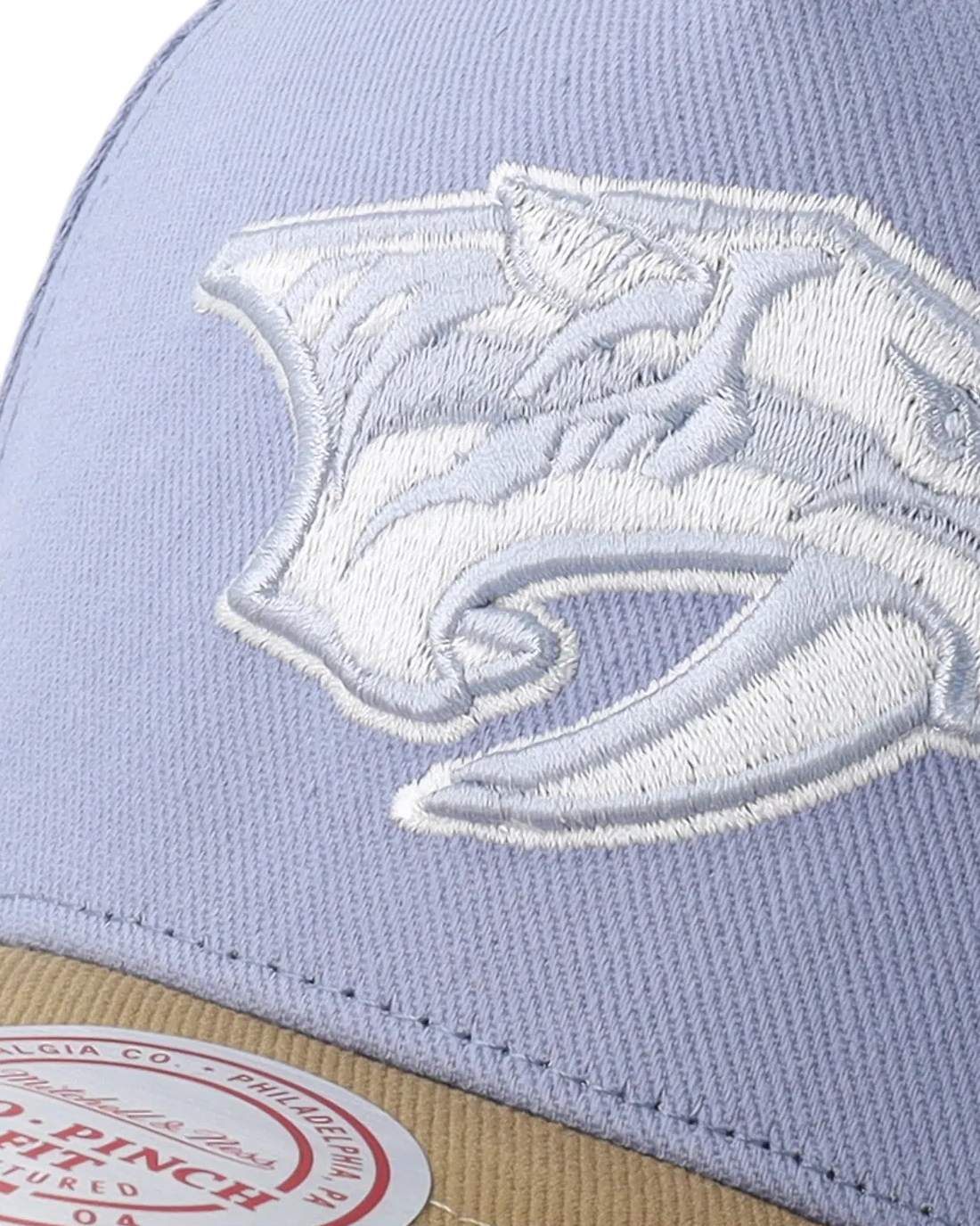 NHL Frosted Peak Nashville Predators Keps