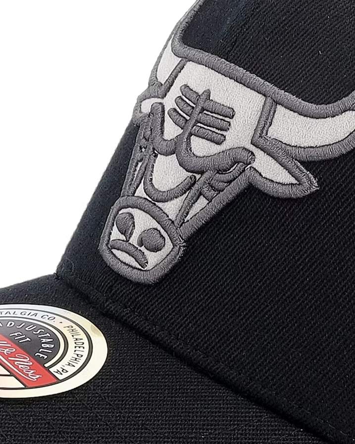 Suede Logo Classic Red Chicago Bulls Keps