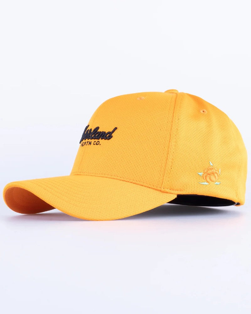 TGN Script Sport 120 Keps