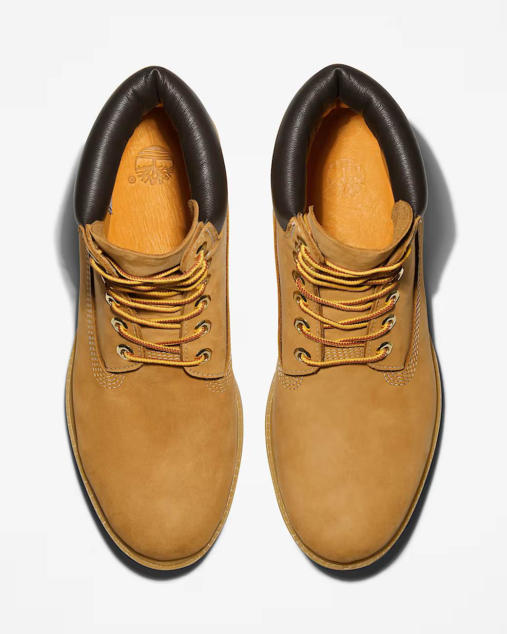 Timberland Premium 6" Waterproof Kängor