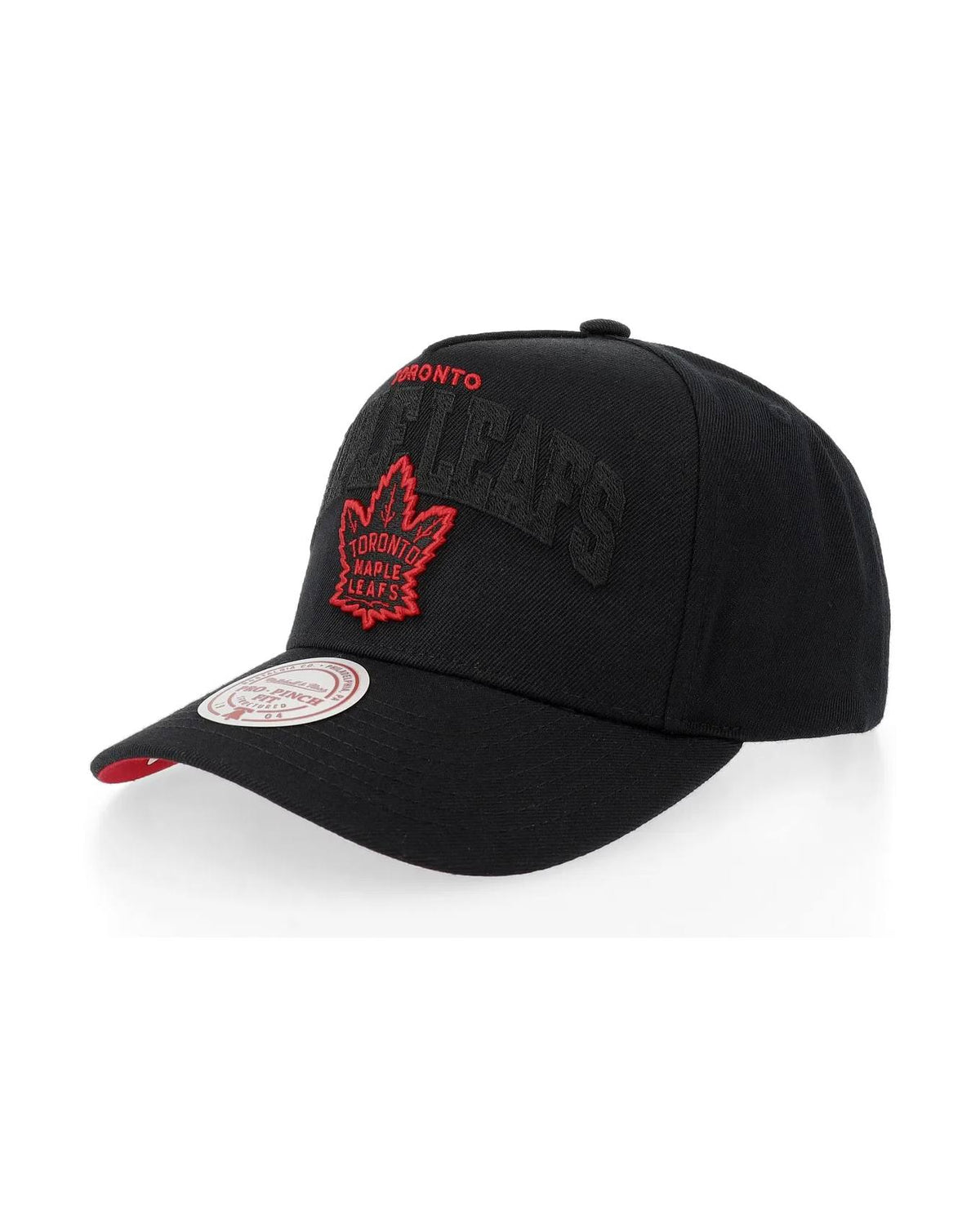 Toronto Maple Leafs Blackout Arch A-Frame Keps