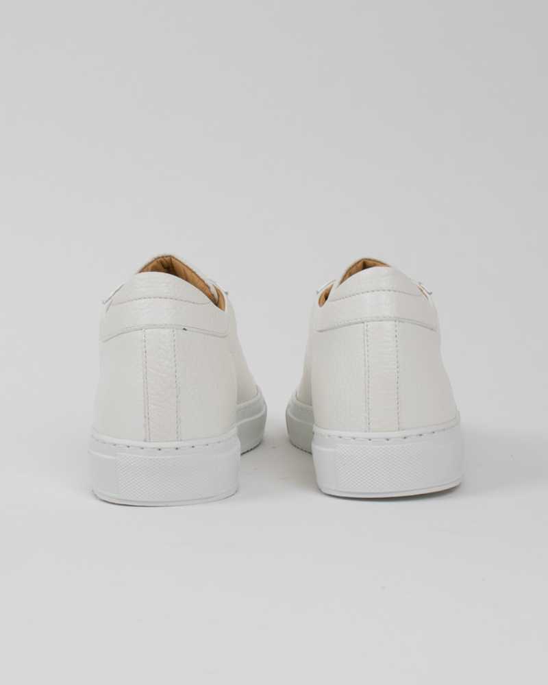 Wingfield Sneakers